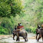 For travelers from Ahmedabad, Flamingo Travels offers an array of Thailand tour packages designed