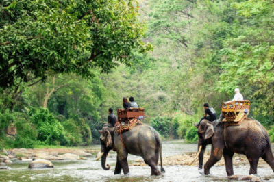 Thailand Tour Packages from Ahmedabad with Flamingo Travels: Best Deals & Custom Itineraries