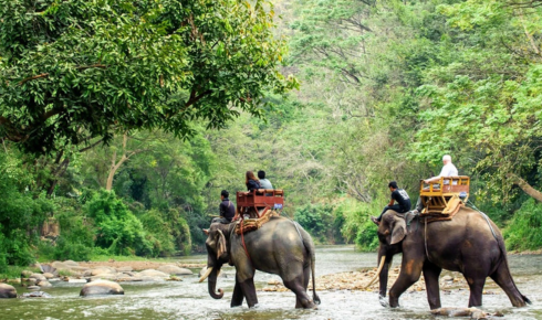 For travelers from Ahmedabad, Flamingo Travels offers an array of Thailand tour packages designed