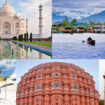 best travel agency in delhi