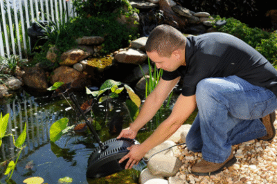 Finding Balance in the Backyard: A Relaxed, Honest Guide to Keeping Pond Water Clear