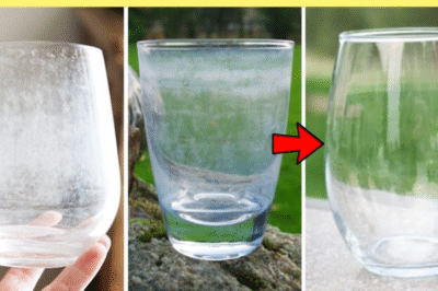 A Real-World Guide to Removing Water Stains from Glass Without the Headache