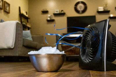 Breathe Easy: Real Ways to Freshen Up a Windowless Room