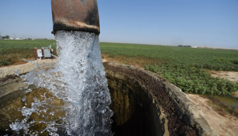 nitrate removal